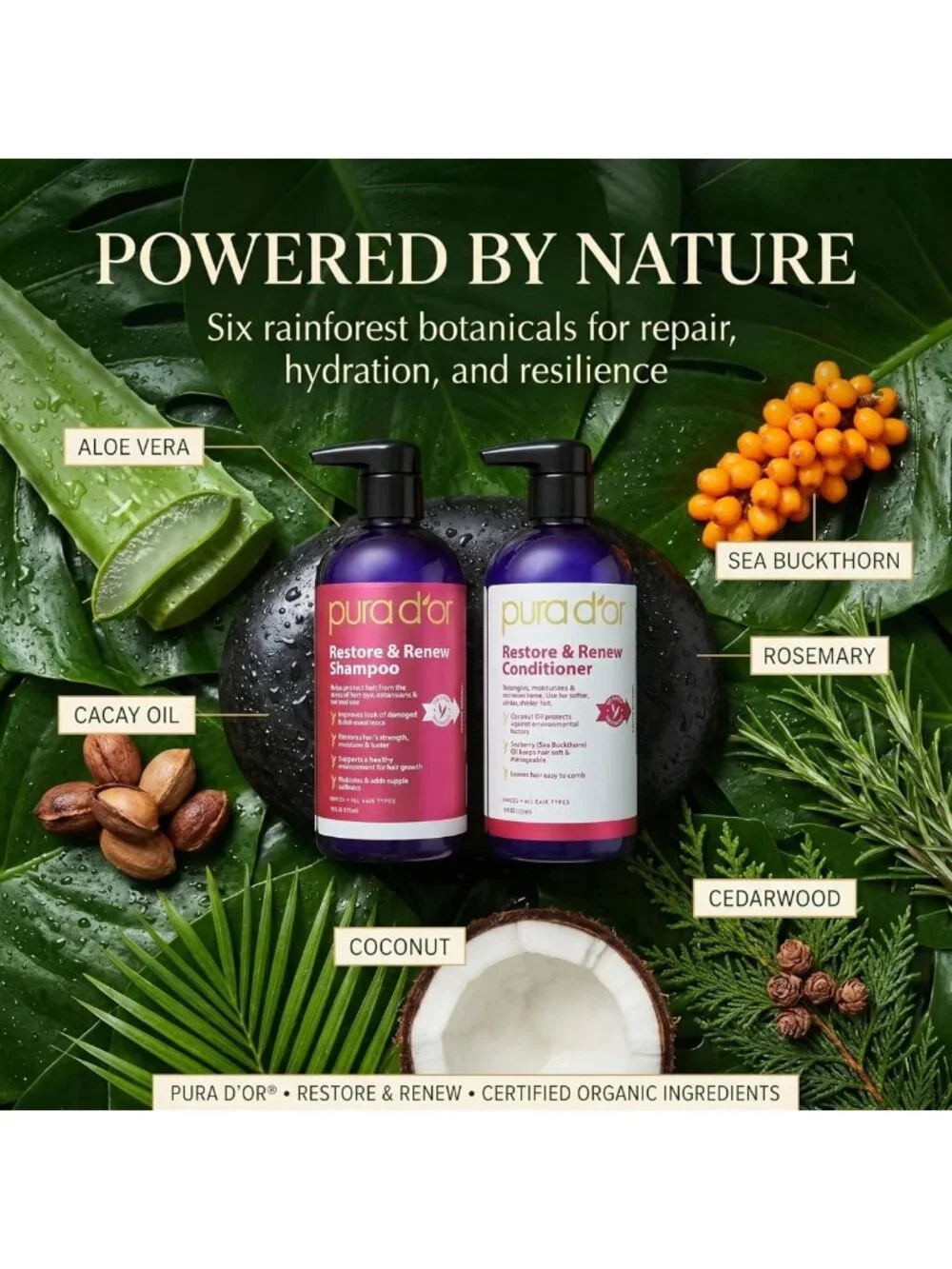 Revitalize Hair with Nourishing Shampoo & Conditioner Set - Organic Aloe